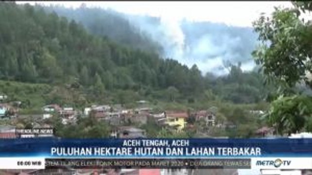 Kebakaran Hutan dan Lahan Terjadi di Dekat Pemukiman Warga Aceh Tengah