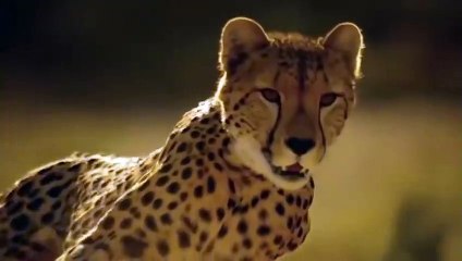 예천출장서비스 예천출장서비스O1Og4838g4959｛카톡SBS52 라인VPN58｝ 예천출장마사지샵 예천출장안마on예천출장안마cos여3♪⇔∃마사지황형♥◪≪