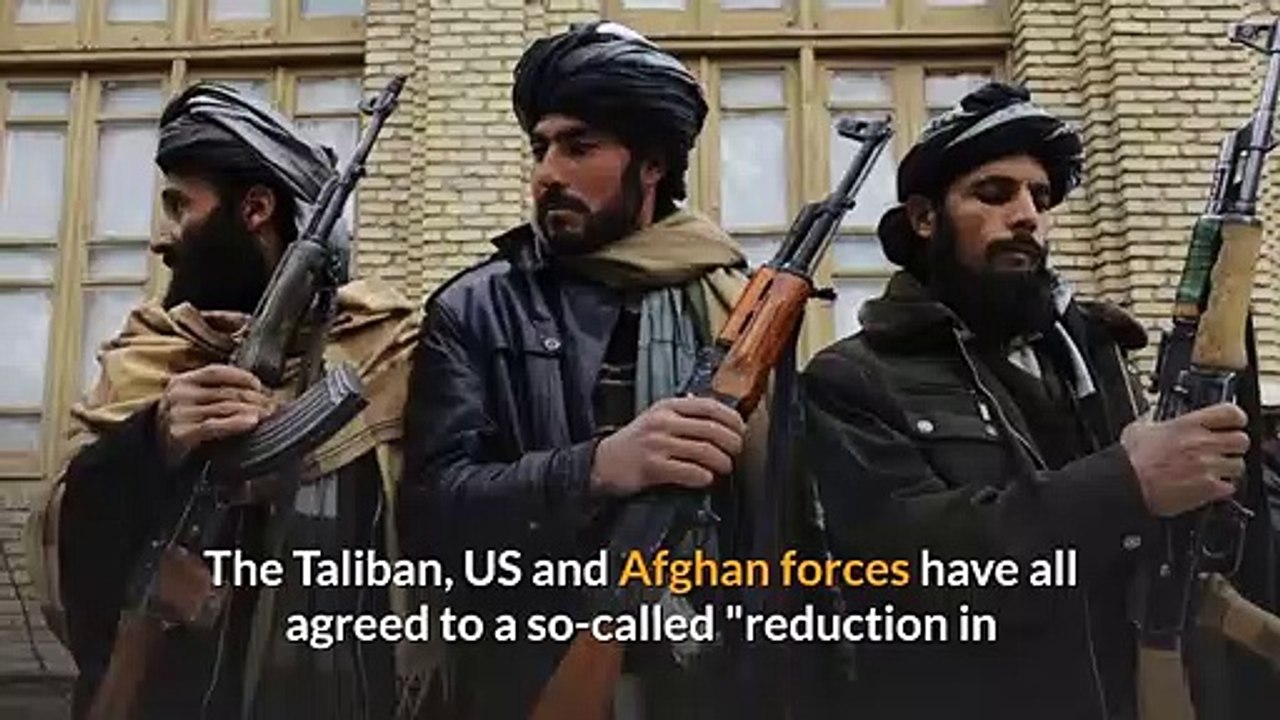 Taliban News - Partial truce begins in Afghanistan amid isolated attacks