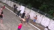 Jiboia é capturada pela Polícia Ambiental na Prainha, em Vila Velha
