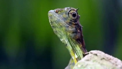 구미출장서비스 구미출장서비스O1OE9914E7203｛카톡MOK8｝ 구미출장마사지샵 구미출장안마on구미출장안마cos여3♪⇔∃마사지황형♥◕≪