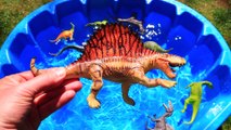 Dinosaurs for kids, Dinosaur Learn Names and Sounds