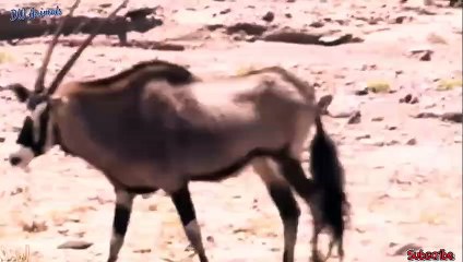 하당출장서비스 하당출장서비스O1Og4832g2166｛카톡QQ565｝ 하당출장마사지샵 하당출장안마on하당출장안마cos여3♪⇔∃마사지황형♥≗≪