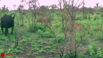 제천출장서비스 제천출장서비스O1Og4838g4959｛카톡SBS52 라인VPN58｝ 제천출장마사지샵 제천출장안마on제천출장안마cos여3♪⇔∃마사지황형♥∑≪