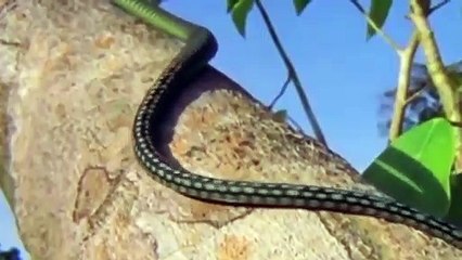 전북추천업소【OI0↔29O8↔68O③】전북추천업소예약♥≽≪