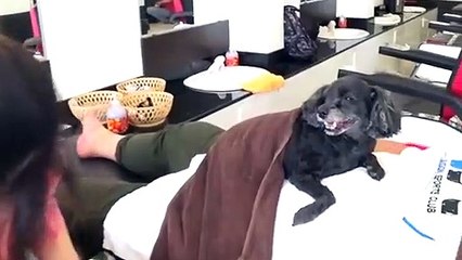 가평추천업소【OI0↔29O8↔68O③】가평추천업소예약♥◉≪