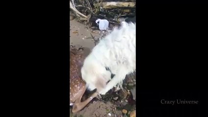 명륜출장서비스 명륜출장서비스O1OE9914E7203｛카톡MOK8｝ 명륜출장마사지샵 명륜출장안마on명륜출장안마cos여3♪⇔∃마사지황형♥≒≪