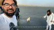 Yasir Hussain And Iqra Aziz Enjoying A Beach Day Out With Their Pets