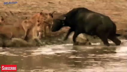 충북출장서비스 충북출장서비스O1OE2104E4640｛카톡MBM6｝ 충북출장마사지샵 충북출장안마on충북출장안마cos여3♪⇔∃마사지황형♥∿≪