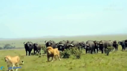 구미출장서비스 구미출장서비스O1OE2541E2560｛카톡YTN9｝ 구미출장마사지샵 구미출장안마on구미출장안마cos여3♪⇔∃마사지황형♥◗≪