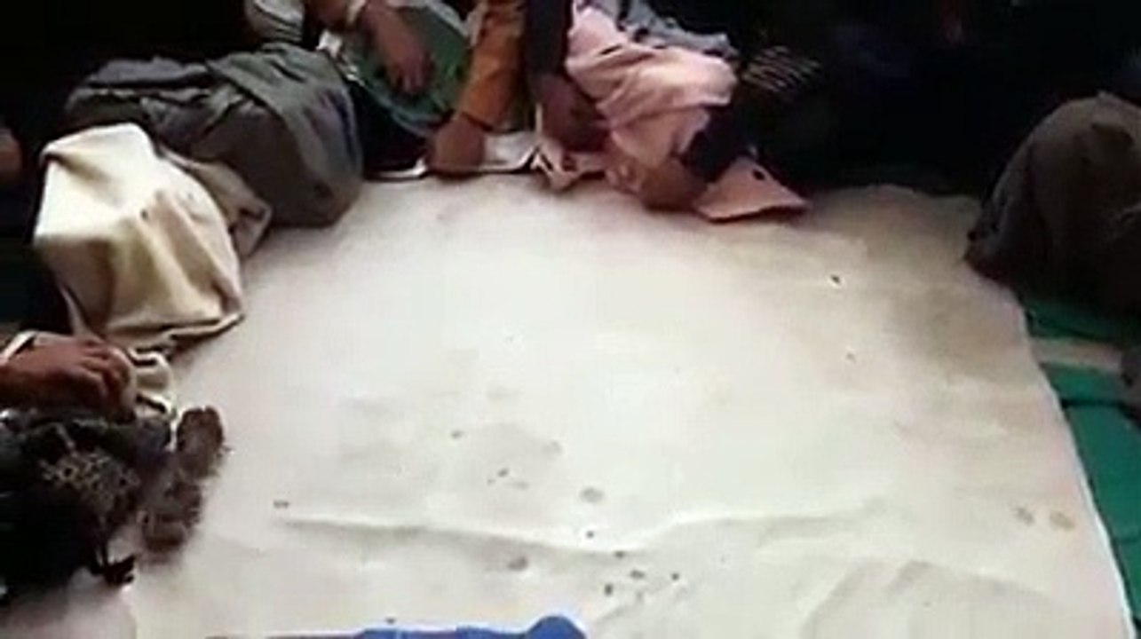 ایک_نیا_واقعہ_دیکھوں_بٹیر_کے_ساتھ