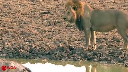 속초추천업소【OI0↔29O8↔68O③】속초추천업소예약♥≵≪