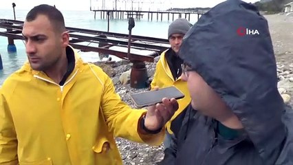 Hareketsiz kalan Akdeniz Foku paniğe neden oldu