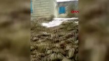 İran'da meydana gelen 5.9 büyüklüğündeki deprem başkale'yi vurdu; enkaz altında kalanlar var