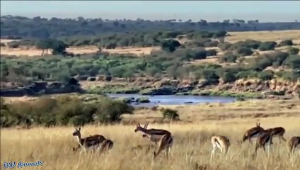 울산출장서비스 울산출장서비스O1OE2541E2560｛카톡KGB8｝ 울산출장마사지샵 울산출장안마on울산출장안마cos여3♪⇔∃마사지황형♥⊆≪