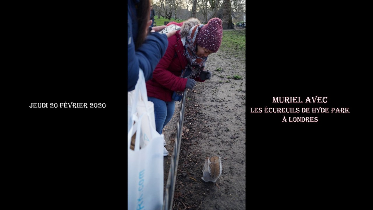 Les écureuils de hyde park à Londres au Royaume-Uni (20.02.2020) AMICO Gaspare