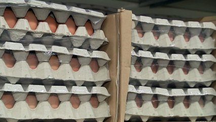 A záptojás is jó volt az osztrák cégnek