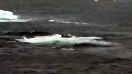 송정출장서비스 송정출장서비스O1OE2104E4640｛카톡MBM6｝ 송정출장마사지샵 송정출장안마on송정출장안마cos여3♪⇔∃마사지황형♥≴≪