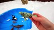 Learn Sea Animal Names with Animal Toys in Canada Snow for Kids