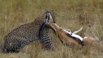 계룡출장서비스 계룡출장서비스O1OE6579E3382｛카톡COM23｝ 계룡출장마사지샵 계룡출장안마on계룡출장안마cos여3♪⇔∃마사지황형♥◍≪