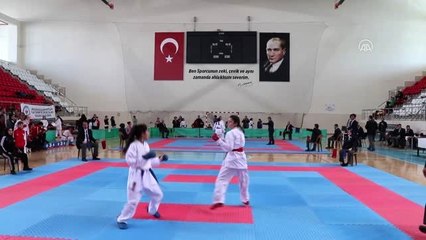 Erzincan'da ANALİG Karate Grup Müsabakaları sona erdi