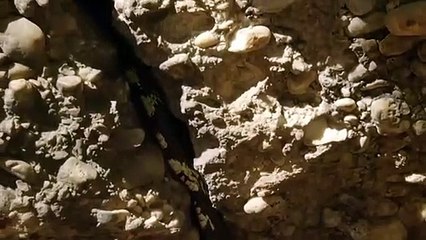 구미출장서비스 구미출장서비스O1Og4832g2166｛카톡BBC42｝ 구미출장마사지샵 구미출장안마on구미출장안마cos여3♪⇔∃마사지황형♥≠≪