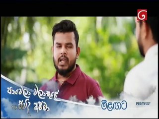 Mini Pahana Obai 23-02-2020