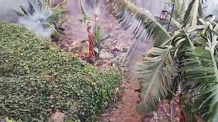 El fuego hace arder el antiguo invernadero de Los Realejos