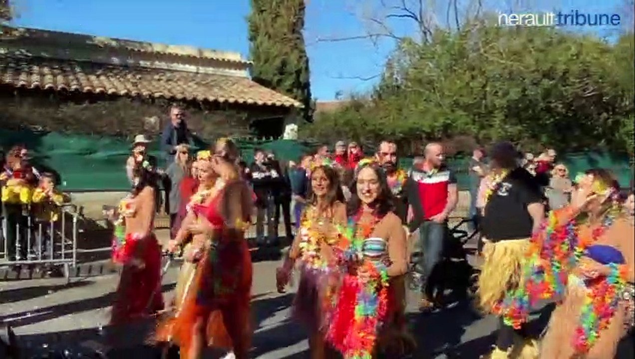 FLORENSAC - Jour de Carnaval 2020