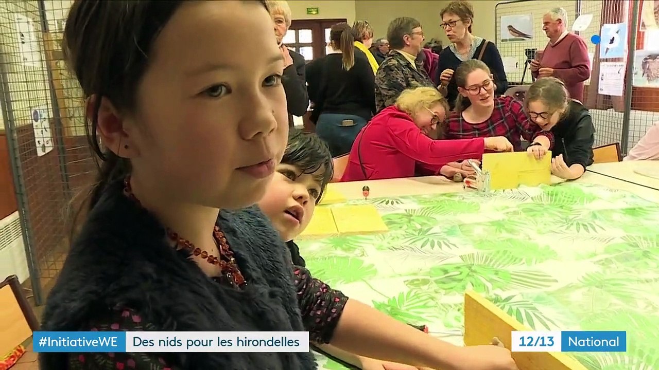 Environnement : des nids pour sauver les hirondelles