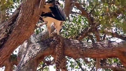 은평출장서비스 은평출장서비스O1Og2154g6609｛카톡VPN58｝ 은평출장마사지샵 은평출장안마on은평출장안마cos여3♪⇔∃마사지황형♥◜≪