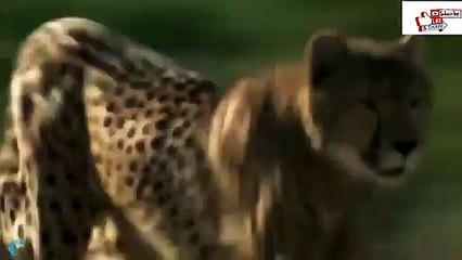 통영출장서비스 통영출장서비스O1OE6683E6402｛카톡GMC3 라인gmc3｝ 통영출장마사지샵 통영출장안마on통영출장안마cos여3♪⇔∃마사지황형♥◟≪