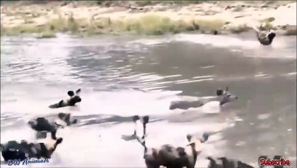 통영출장서비스 통영출장서비스O1OE2104E4640｛카톡MBM6｝ 통영출장마사지샵 통영출장안마on통영출장안마cos여3♪⇔∃마사지황형♥◜≪