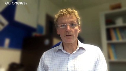 Grande número de baleias azuis avistado