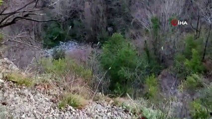 100 metre uçuruma yuvarlanan sürücünün cesedi, 1 gün sonra bulunabildi