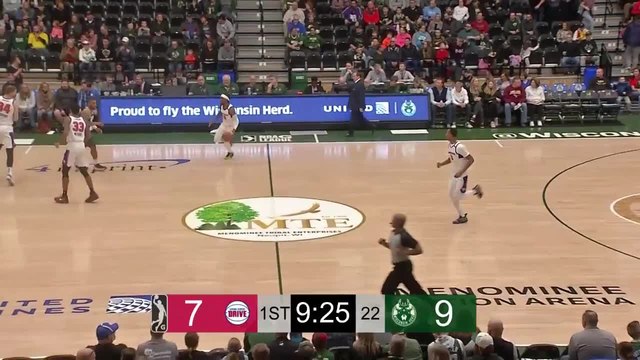 Todd Withers (17 points) Highlights vs. Wisconsin Herd