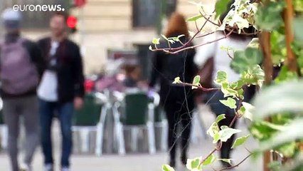 Estados Unidos pressionam Portugal e Espanha contra o 5G chinês