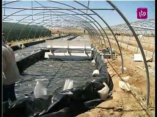 د. سامي كمال يتحدث عن فوائد الطحالب لجسم الانسان