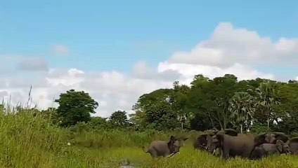 문막출장서비스 문막출장서비스O1OE2541E2560｛카톡YTN9｝ 문막출장마사지샵 문막출장안마on문막출장안마cos여3♪⇔∃마사지황형♥≆≪