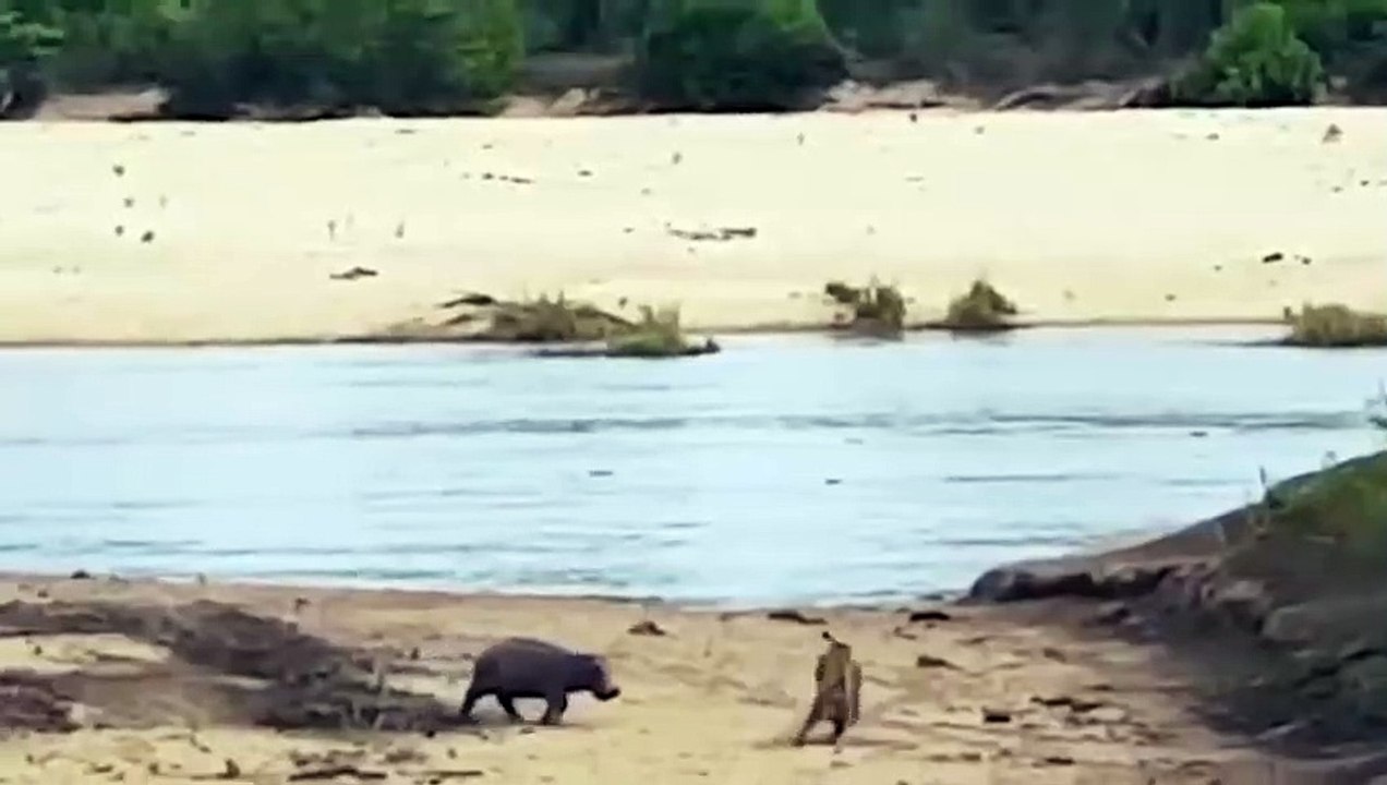 밀양추천업소【OI0↔29O8↔68O③】밀양추천업소예약♥◖≪