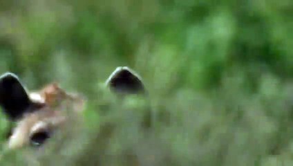 수영출장서비스 수영출장서비스O1OE9914E7203｛카톡MOK8｝ 수영출장마사지샵 수영출장안마on수영출장안마cos여3♪⇔∃마사지황형♥≔≪