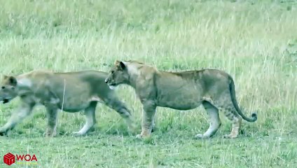 부여출장서비스 부여출장서비스O1Og4832g2166｛카톡BBC42｝ 부여출장마사지샵 부여출장안마on부여출장안마cos여3♪⇔∃마사지황형♥⊌≪