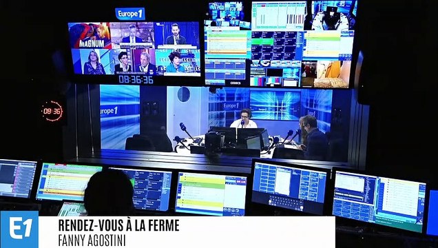 Horticulture : les circuits courts impactés par le manque de coordination entre les acteurs