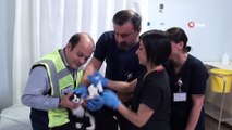 Kırık ayağıyla acile sığınan kediye hastane çalışanları sahip çıktı