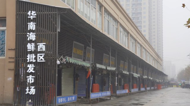 Deadly coronavirus may not have originated in Wuhan seafood market, Chinese scientists say