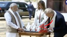 Three Monkeys Explaining Mahatma`s Three Monkeys at Sabarmati | Donald Trump | Modi | Melania Trump