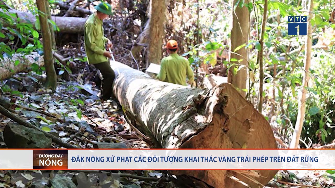 Đường dây nóng -24/02/2020