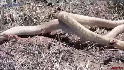 구리출장서비스 구리출장서비스O1OE2541E2560｛카톡KGB8｝ 구리출장마사지샵 구리출장안마on구리출장안마cos여3♪⇔∃마사지황형♥◀≪