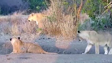 산청추천업소【OI0↔29O8↔68O③】산청추천업소예약♥◚≪