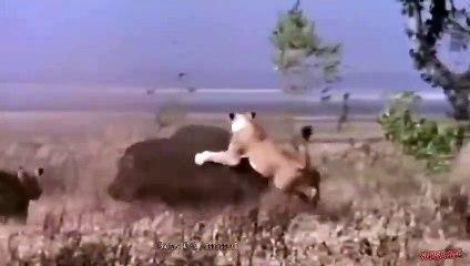 구리출장서비스 구리출장서비스O1Og4832g2166｛카톡MGM85｝ 구리출장마사지샵 구리출장안마on구리출장안마cos여3♪⇔∃마사지황형♥∘≪